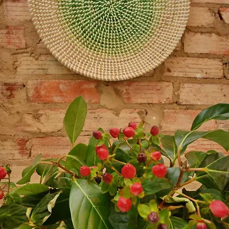 Ostello Son Of A Albufeira